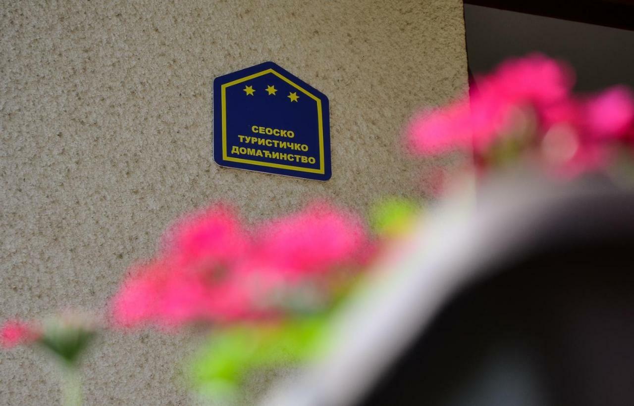 Kuca Za Odmor Radovanovic Despotovac Exterior foto