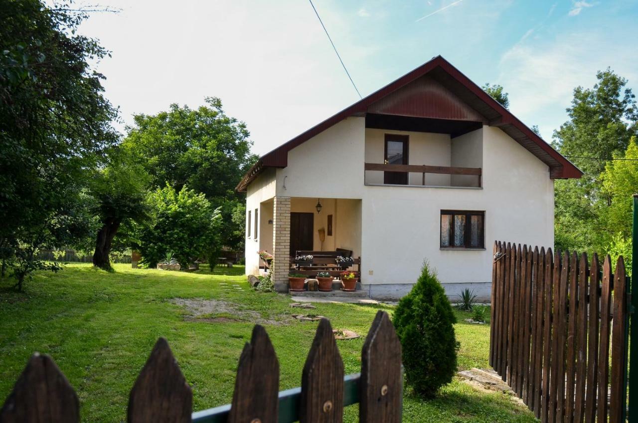 Kuca Za Odmor Radovanovic Despotovac Exterior foto