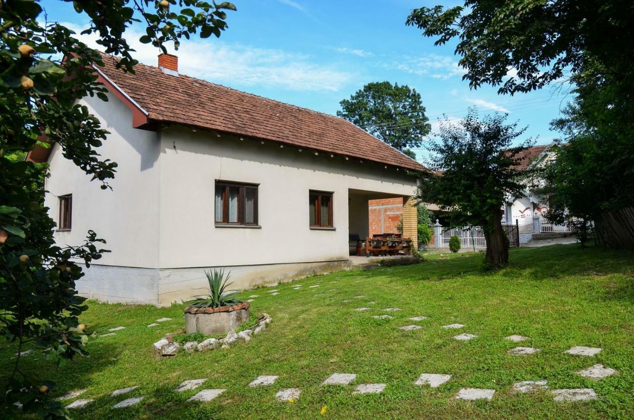 Kuca Za Odmor Radovanovic Despotovac Exterior foto