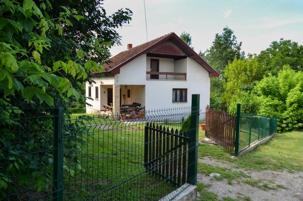 Kuca Za Odmor Radovanovic Despotovac Exterior foto