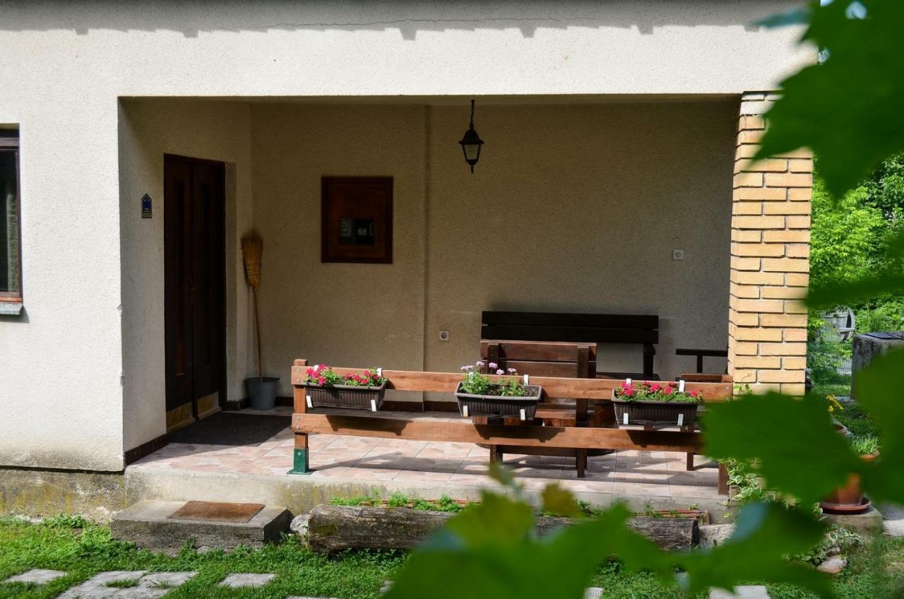 Kuca Za Odmor Radovanovic Despotovac Exterior foto