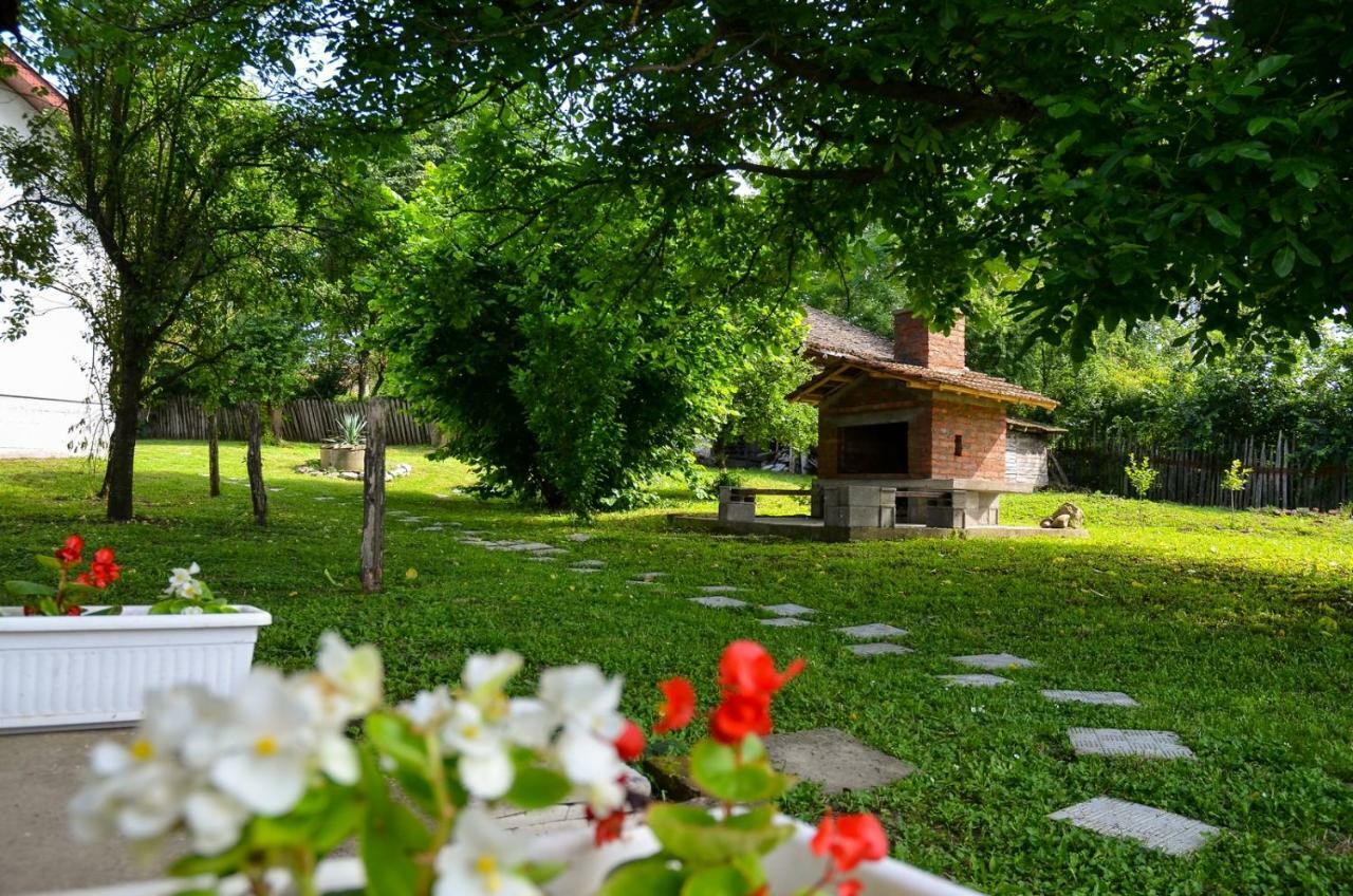 Kuca Za Odmor Radovanovic Despotovac Exterior foto